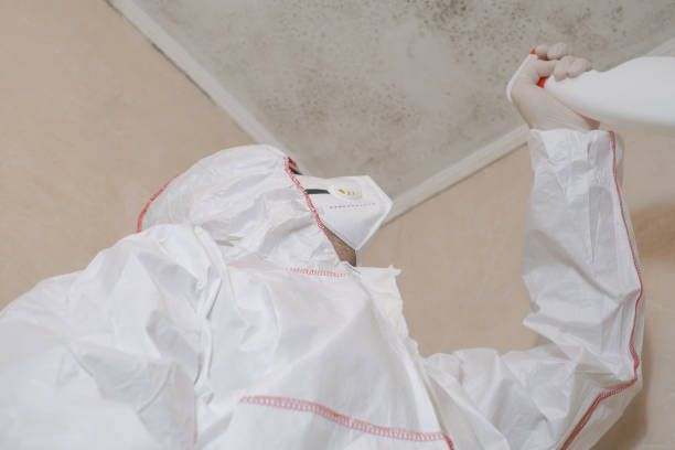 Best Commercial Mold Remediation in Philipsburg, PA